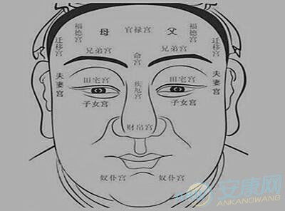 面相十二宫之相貌宫