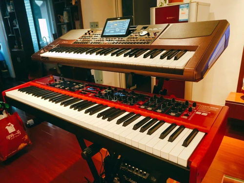 陈一冉 Nord Stage 3和korg Pa1000的搭配认为是最佳组合啊