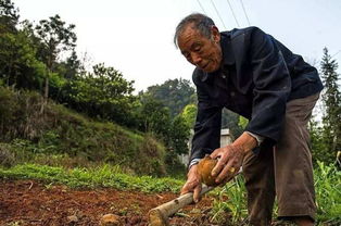 农村的60后和70后,未来都将面临这3个问题,还得提前打算才行