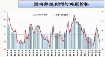 养蛋鸡500只：第一次需要投资多少？能有多少利润？