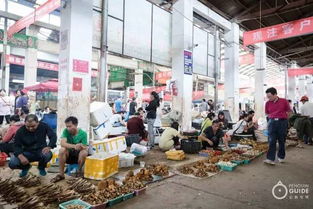 云南（昆明）野生菌批发市场？