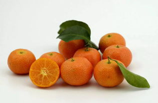 砂糖橘为什么怕果大 有什么方法控制吗