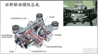 四驱差速器油多久换(四驱差速器油多久换一次合适)