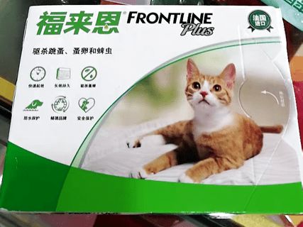 猫咪驱虫怎么做 这是一份全面的驱虫攻略