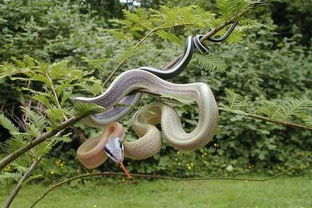 自然界美得让人惊艳的蛇王 