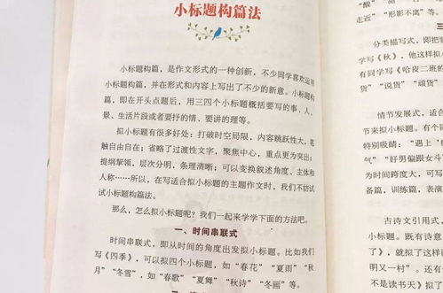 我会什么450字范文图片-金字塔我是小小讲解员作文？