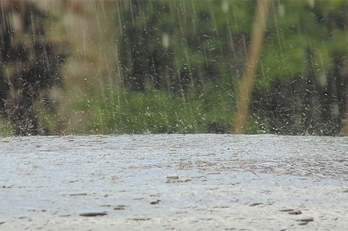 梦见下雨打雷是什么意思 大鱼解梦网 