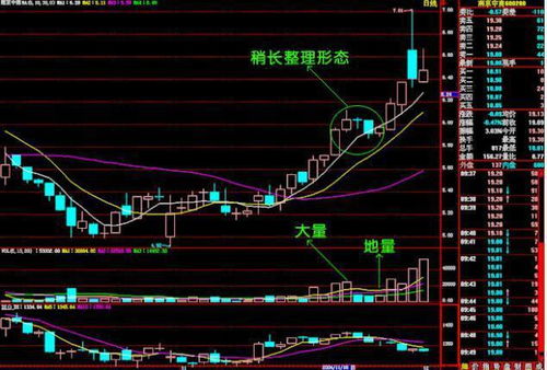 2008年3月买入中国石油股票至今毎股亏多少