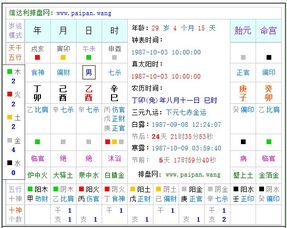 1987年农历八月十一日已时在生辰八字中是什么 