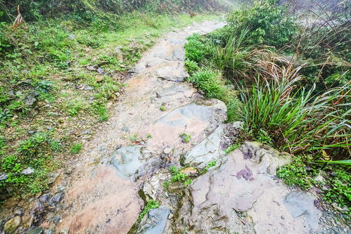 灵寿水泉溪自然风景区旅游(灵寿水泉溪自然风景区怎么样)