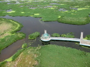 大庆龙凤湿地公园停车场怎么收费(青天湖湿地公园停车场收费标准)