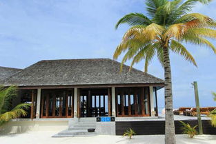 马尔代夫丽莉岛旅游马尔代夫旅游景点介绍（马尔代夫lily beach）