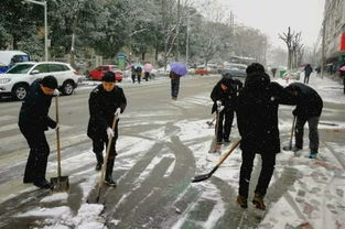 我市3.6万余名志愿者加入扫雪除冰行动