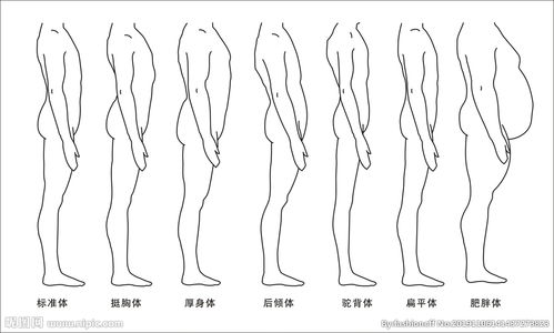 特殊人体体型图片 