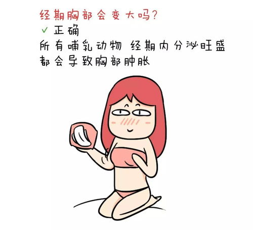 女生的胸真的会越摸越大吗