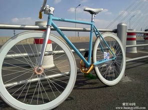 这个自行车叫啥名,求具体型号和卖处 