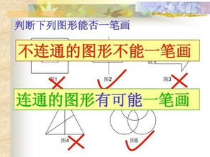 什么是双数？什么是单数？