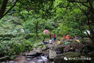 五一假期,小陆村露营野炊徒步大明山龙头峰 