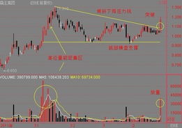 霸王凉茶推出后，大家觉得港股霸王股票潜力如何？