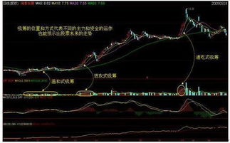 主力控盘一只股票一般需要多少筹码