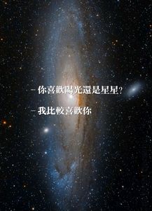 未来的你会懂我的疯狂