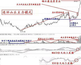 跪求，谁知到，温和放量 持峰涨停的意思？