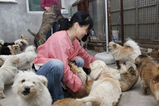 重庆市有流浪狗救助站吗 