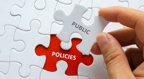 如何对一个政策进行分析，简述公共政策定性分析方法。