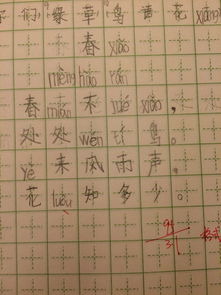 现在小学生在 田字格 抄写古诗的正确格式该是怎样啊 