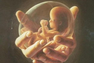 堕胎会影响你一生的运势