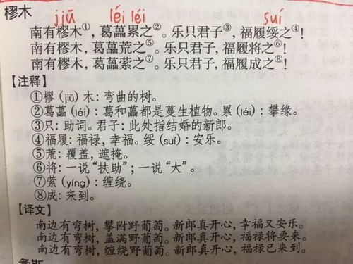 你知道哪些有内涵的结婚祝福词