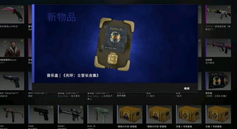 音乐箱怎么弄好看的 csgo自定义音乐盒怎么弄