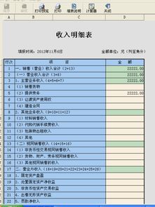 怎样才能把地税局网站申报的财务报表打印出来