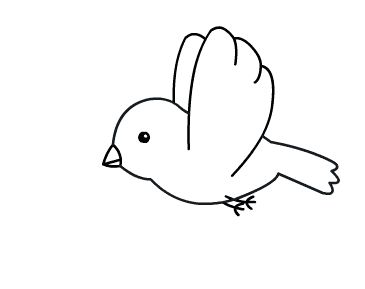 飞翔的鸟儿简笔画图片 5068儿童网 