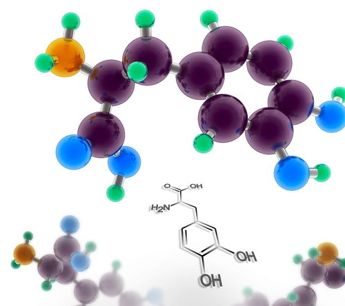 神经递质多巴胺降低会有哪些影响 如何提高多巴胺的分泌
