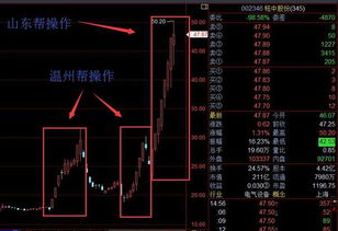 股票上经常听说有山东帮温州帮什么意思