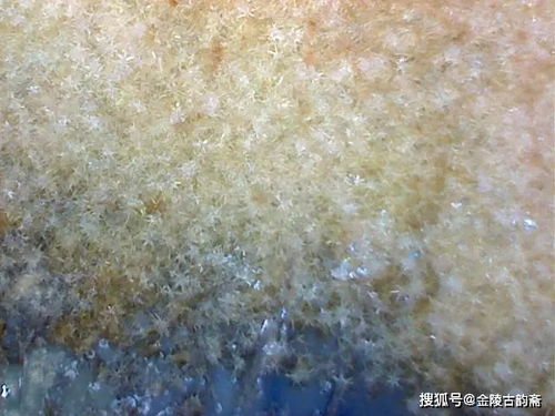 浅谈以微观特征来鉴定瓷器新老