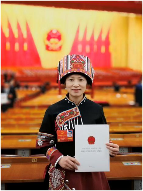 全国人大代表覃鸿 加大知识产权司法保护力度