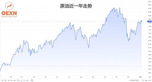 OPEC 维持2月增产计划油价上涨,后期是否会继续维持涨势