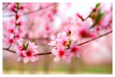 3月下旬,爱情事业全面开花,这3个生肖好运傍身,不可小看 未来 