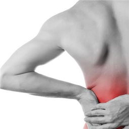 腰部疼痛的原因 腰酸痛是什么原因引起的