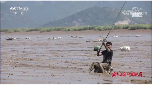 海边钓跳跳鱼 这个相当有难度 