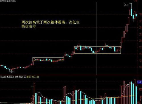 理论上来讲是不是每个股票都有庄家的