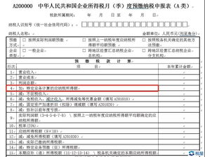 什么时候需要缴纳企业所得税啊