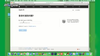 怎么解决苹果id被盗的问题 