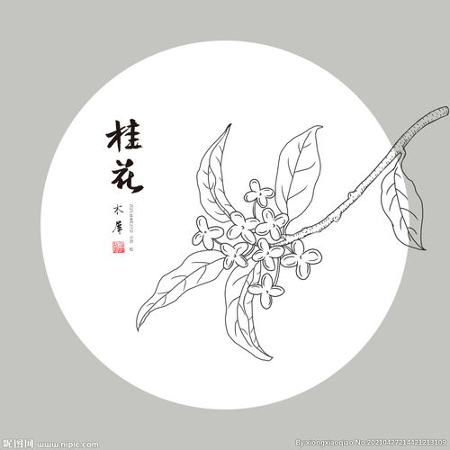 桂花树简笔画手绘 