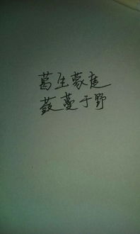 写不好5字怎么办