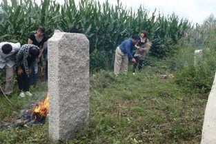 在农村清明扫墓,祭拜先人有讲究,农村老人说这4条禁忌不能触犯