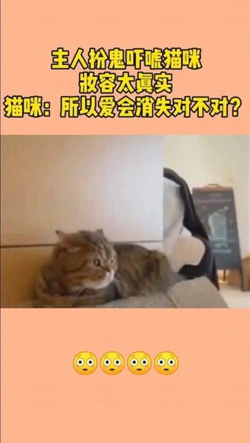 主人扮鬼吓唬猫咪,妆容太真实了,猫咪所以爱会消失对不对 