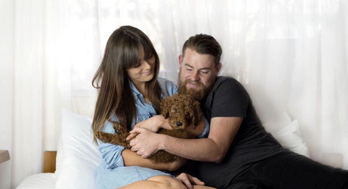 用养狗来防止催生孩子 澳大利亚夫妇把狗狗当孩子拍美照 